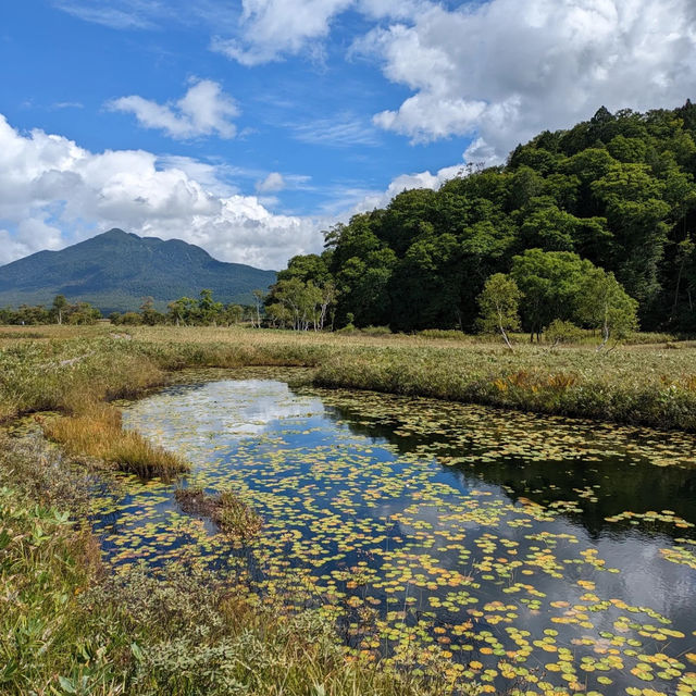 Nice自然公園：寧靜美景，享受快樂時光