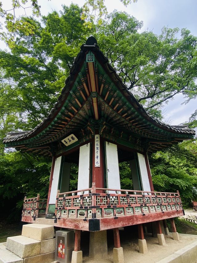 🇰🇷 Wander in Secret Garden of Changdeokgung !