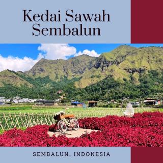 Discovering a Hidden Gem: Kedai Sawah Sembalun Stole My Heart!
