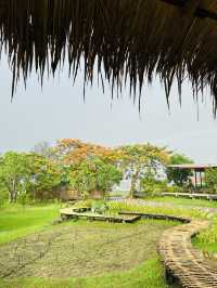Pronto Coffee @ Chiang Dao 