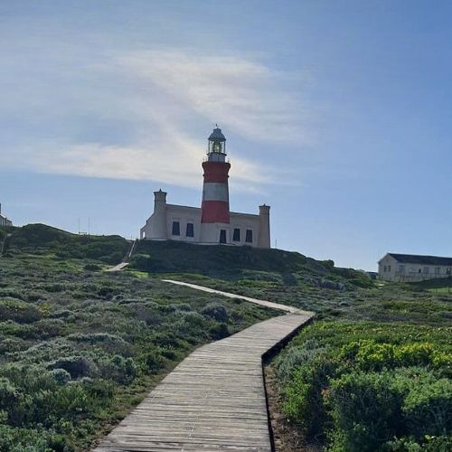 Uncover the Charm of Cape Agulhas