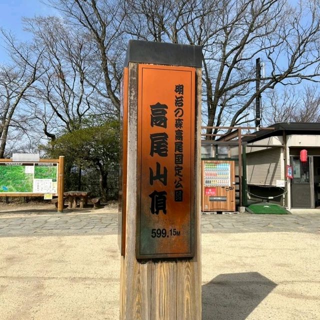 距離東京最近的自然景點！高尾山