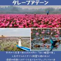 【東北地方】文化と自然が融合する地。おすすめ観光地