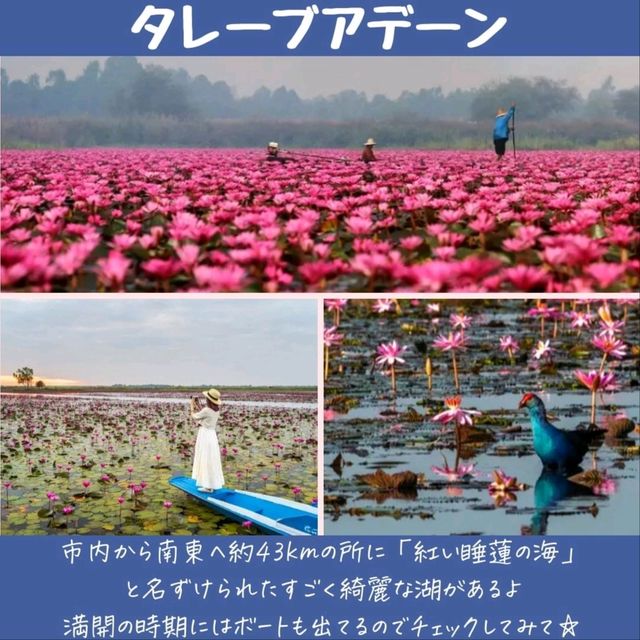【東北地方】文化と自然が融合する地。おすすめ観光地
