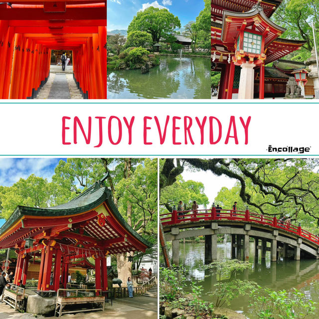 小網神社⛩️ 靜謐禪風