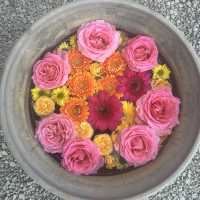 〜埼玉県〜珍しい薔薇の花手水🌹