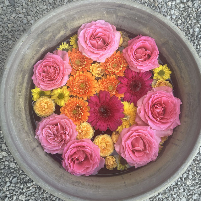 〜埼玉県〜珍しい薔薇の花手水🌹