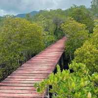 ที่เที่ยวเกาะช้างเลี้ยวซ้าย ป่าชายเลนสลักเพชร ตราด