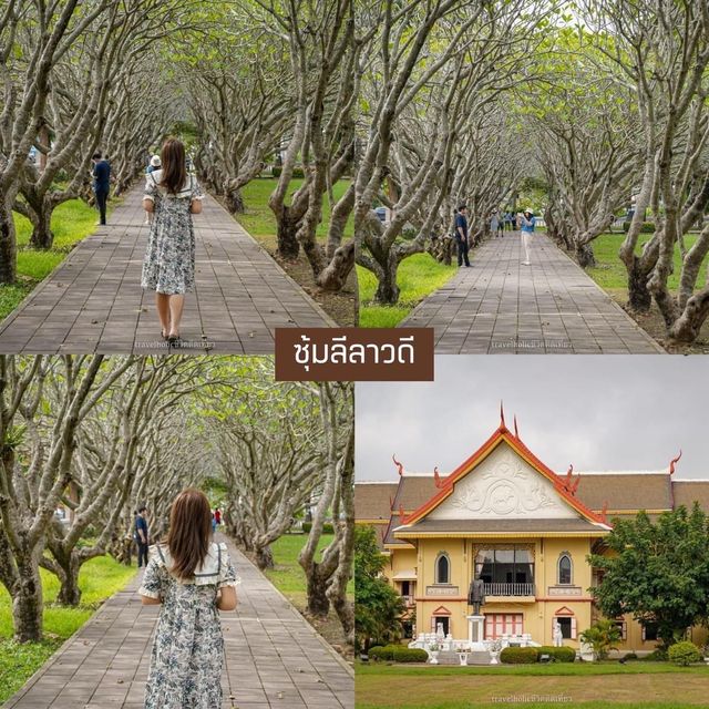 35 พิกัดที่เที่ยว...น่าน เนิบๆ 💚🍃 