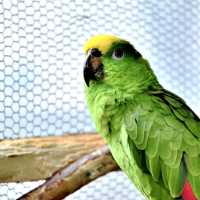 札幌北部野生動物園-動物近距離接觸，可能帶來危險的動物園