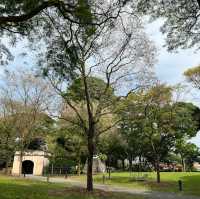 Fort canning beautiful hike with 🇸🇬 history 