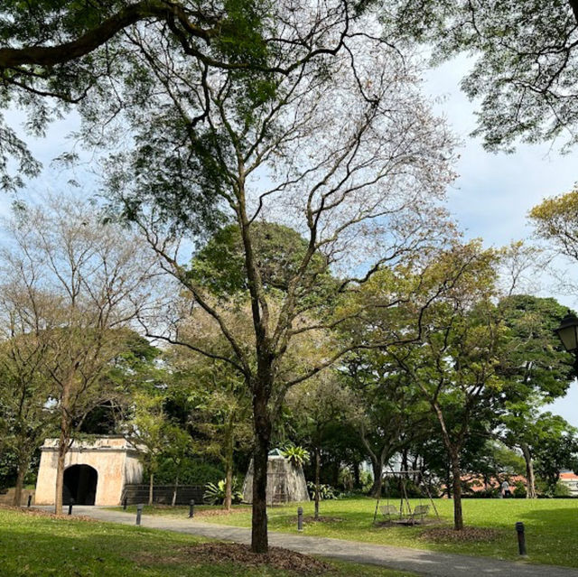 Fort canning beautiful hike with 🇸🇬 history 
