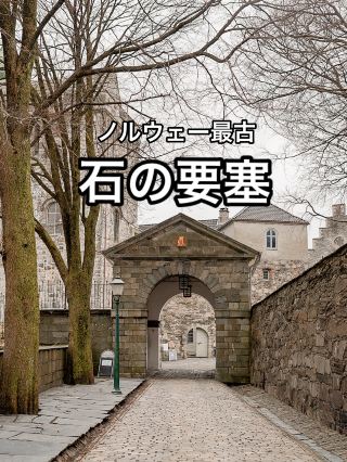 卑爾根胡斯城堡