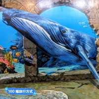 蘭卡威3D藝術互動樂園，大人小孩玩的不亦樂乎