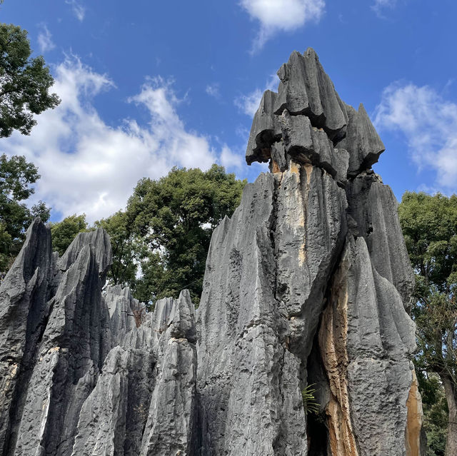 How a bout a stone forest?