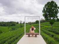 Oxy Resort Chiang Rai ที่พักสไตล์โรงนายุโรป