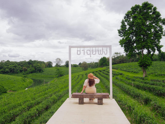 Oxy Resort Chiang Rai ที่พักสไตล์โรงนายุโรป