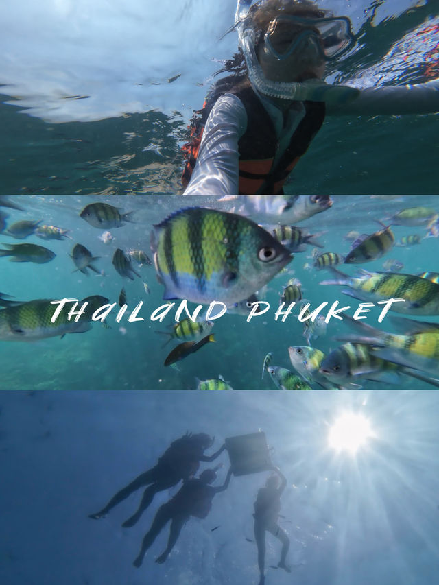 🇹🇭泰國布吉 皮皮島跳島浮潛一日遊
