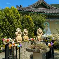 용인 사찰 와우정사 