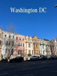  Exploring Washington DC on Foot: A Scenic Walkthrough 🇺🇸