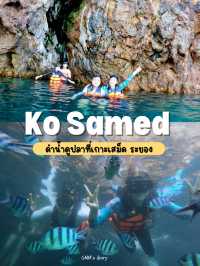 ดำน้ำดูปลาที่เกาะเสม็ด น้ำใสมาก 🐠✨