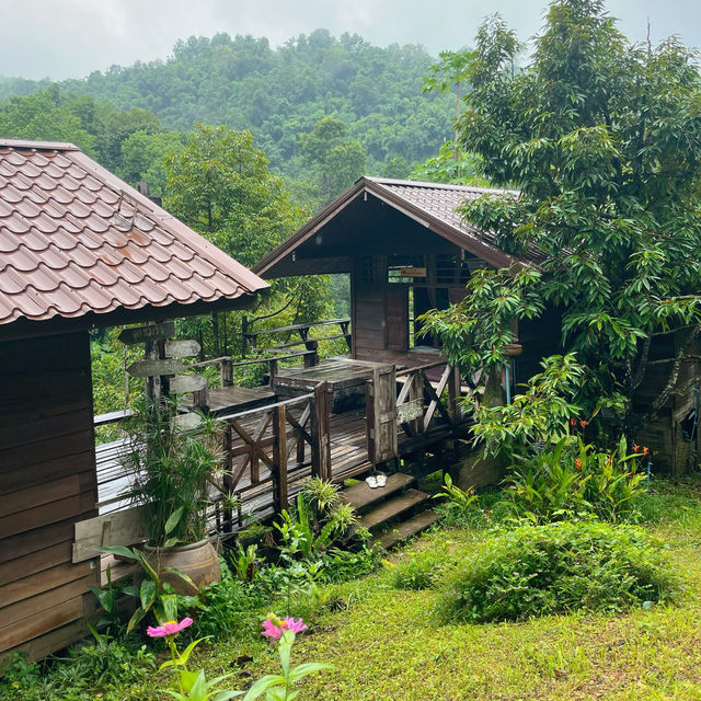 🍃🛖 หนีความวุ่นวาย ไปนอนโฮมสเตย์บ้านนาต้นจั่น