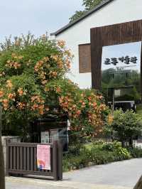 야외데이트하기 좋은 전주 여행코스
