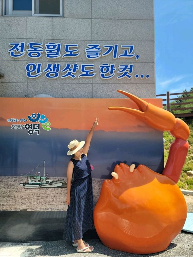 영덕필수여행지로 추천하는 풍력발전소✨️