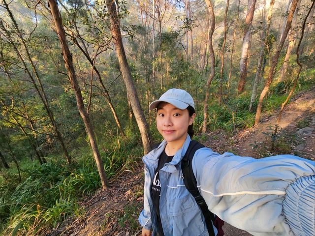 🇦🇺 호주 브리즈번 마운틴 쿠사 트레킹