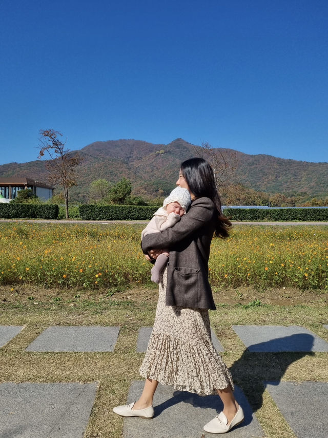 매력적인 가을 풍경의 물의정원🍂