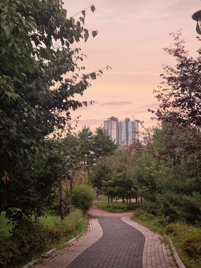 환상적인 모담숲 산책