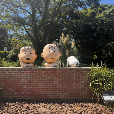 その他  GLOBE JEJU EDITION SNOOPY GARDEN Snoopy Garden (2025) - All You Need to Know BEFORE You Go