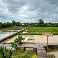คาเฟ่ชิดภู พักสายตาวิวทุ่งนา360องศา #ลาวใต้