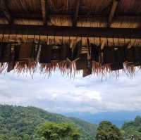 คาเฟ่บนดอย Jungle View Coffee
