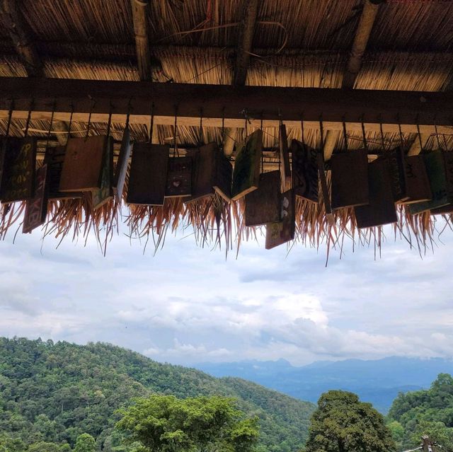 คาเฟ่บนดอย Jungle View Coffee