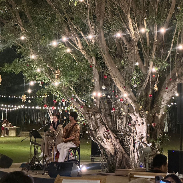 พาดินเนอร์ในสวน The village farm to café