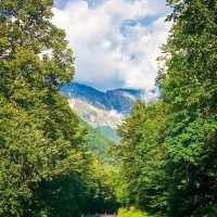 soca valley 