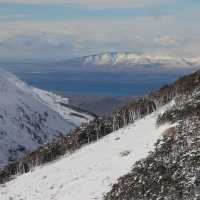 Rugged Patagonian Beauty