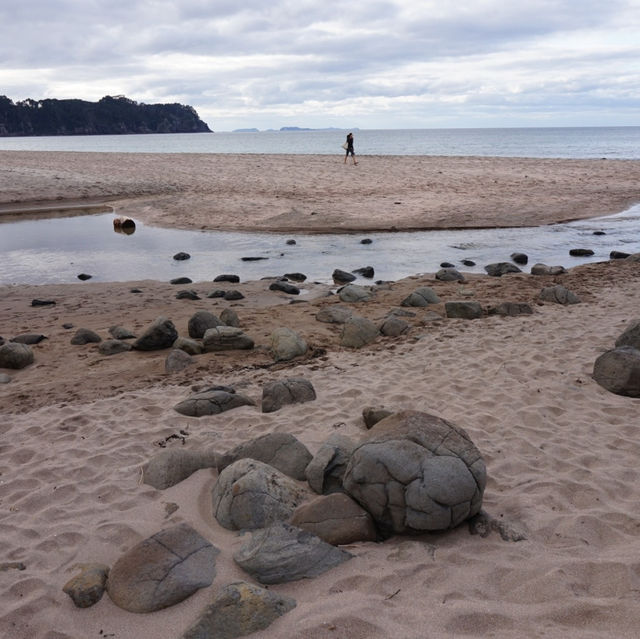 Unique beach in New Zealand