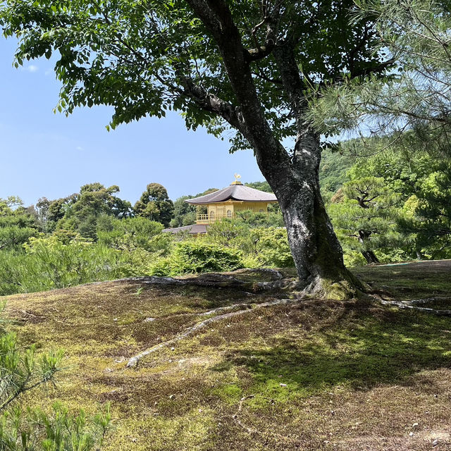 kinkaku-ji 
