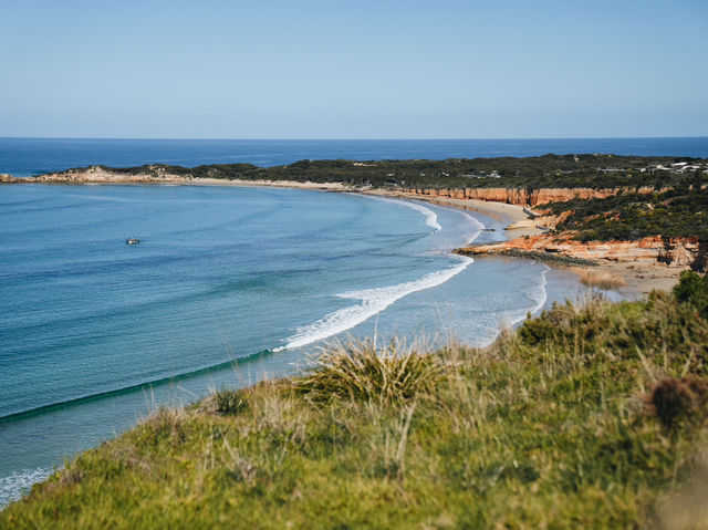 🇦🇺 墨爾本 大洋路🌊 這種只屬於衝浪天堂不同層次的藍🦋