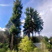 Wildlife Wonders: Kiwi Park NZ, Queenstown's Hidden Gem