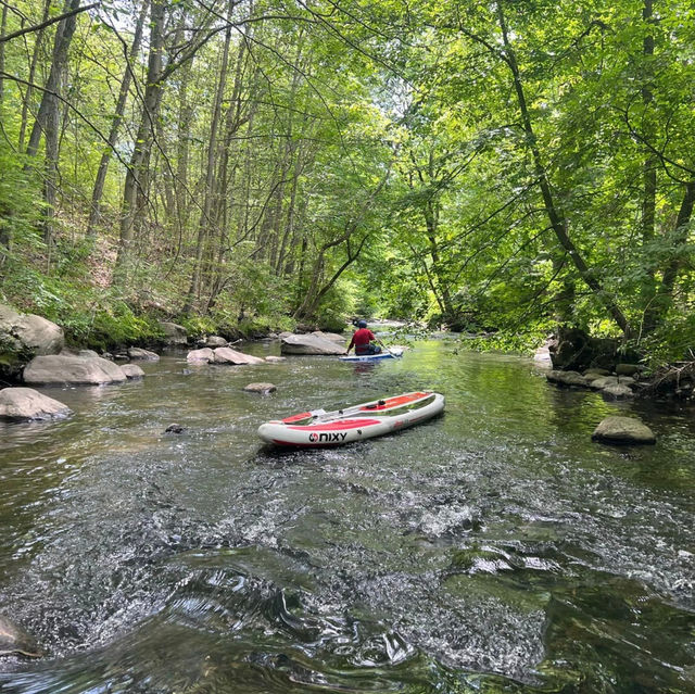 Paddling Through the Unseen Bronx: A Journey of Discovery