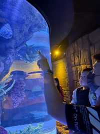 ชวนเที่ยว Sea Life Bangkok