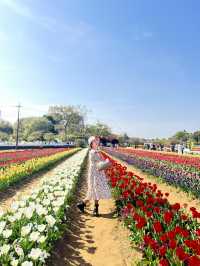 Akebonoyama Park 