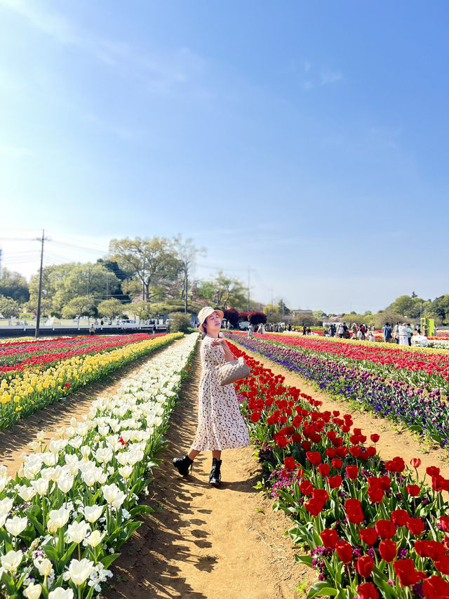 Akebonoyama Park 