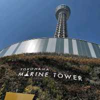 a great way to see Yokohama skyline and harbor