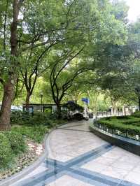 Peaceful Escape in Shanghai People's Park