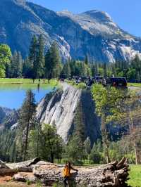 Embracing Nature's Serenity: A Journey Through Yosemite's Lush Landscapes