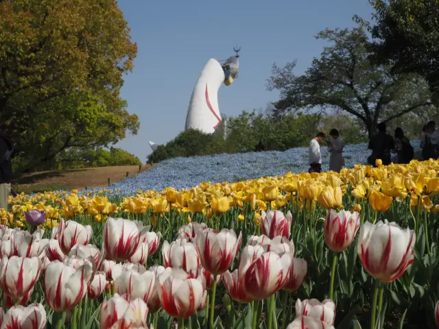 A Relaxing Trip with a Camera in Hand to Blooming Flowers
